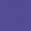 Purple Passion